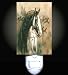 War Painted Horse Decorative Night Light