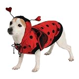 Ladybug Dog Pet Costume