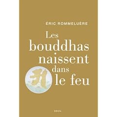 Les bouddhas naissent dans le feu