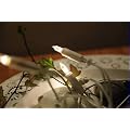 10er LED Weihnachtslichterkette warmweisse LEDs