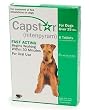CAPSTAR Green for Dogs over 25 lbs-6 tablets