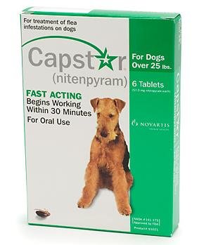 CAPSTAR Green for Dogs over 25 lbs-6 tablets