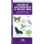 Nature of San Francisco & the Bay Area: An Introduction to Familiar Plants & Animals (US City Nature Guides)