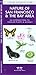 Book Nature of San Francisco & the Bay Area: An Introduction to Familiar Plants & Animals (Pocket Naturalist - Waterford Press)