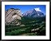 High Angle View of Banff Springs Golf Course, Banff National Park, Canada Lonely Planet Collection Framed Art Poster Print by Philip Smith, 39x31