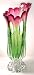 Murano Art Glass Cranberry Tall Vase C28
