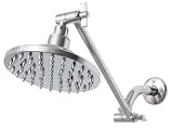 Premier 192056 Single-Setting Sunflower Showerhead with 60 Spray Jets
