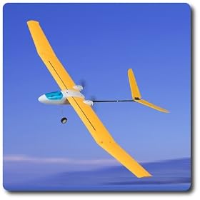 ORIOLE Radio Remote Control EP 2-Channel RC Airplane R C Plane by AmazingTechDepot.com