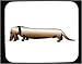 dachshund24 - Decorated Mouse Pad with dachshund pet animal dog