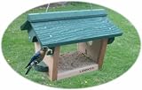 Songbird Essentials Looker Bluebird/Chickadee Feeder