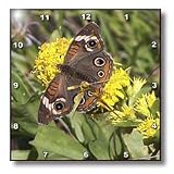 Jackie Popp Nature n Wildlife Butterflies - Buckeye - Wall Clocks