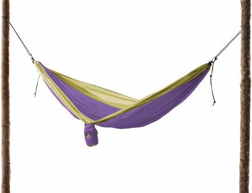 Grand Trunk Double Parachute Nylon Hammock with Carabiners, Neon/Purple, One Size On Sale