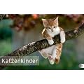 Katzenkinder Posterkalender 2012