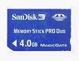 SanDisk - Flash memory card - 4 GB - MS PRO DUO