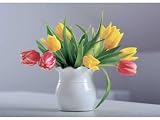 How You Can Preserve Cut Flowers