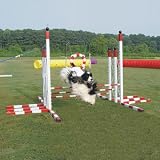 Agility Triple Parallel Bar Hurdle For Small Dogs/Blue and Yellow