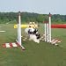 Agility Triple Parallel Bar Hurdle For Small Dogs/Red and White