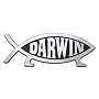 Darwin Fish refrigerator magnet