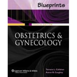 Blueprints Obstetrics And Gynecology (Blueprints)