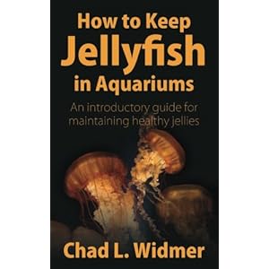 How to Keep Jellyfish in Aquariums: An Introductory Guide for Maintaining Healthy Jellies