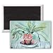 Flowering Succulent, 1960 (pastel) by Joan.. - 3x2 inch Fridge Magnet - large magnetic button - Magnet