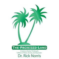 The Promised Land: A Guide to Positive Thinking for Sufferers of Stress, Anxiety, and Depression