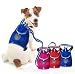 2-in-1 Breathable Mesh-lined Harness / Backpack & Leash Set - Fuchsia Pink/L (23-31)
