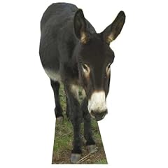 Esel - Tierwelt / Tier / Zoo LEBENSGROSSE PAPPFIGUREN / STEHPLATZINHABER / AUFSTELLER