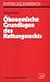 Ökonomische Grundlagen des Haftungsrechts (Physica-Lehrbuch) (German Edition)