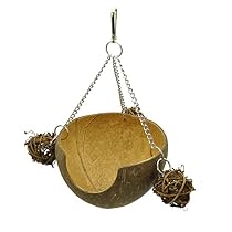 Niteangel Coconut Shell Hamster Hammock, Swing Toy
