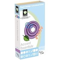 Accent Essentials Cricut Cartridge