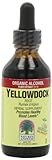 UPC 083000005725 product image for Nature's Answer Yellowdock Root with Organic Alcohol, 2-Fluid Ounces | upcitemdb.com