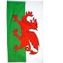 3x5 National Flag of Wales The Red Dragon Welsh Flags
