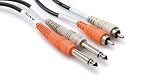 Hosa Cable CPR203 Dual 1/4 Inch To RCA Cable (9.75 Foot)