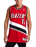NBA Men's Portland Trail Blazers Lamarcus Aldridge Revolution 30 Alternate Swingman Jersey (Red, Large)