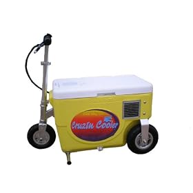 Cruzin Cooler 50-Series 300-Watt Electric Scooter
