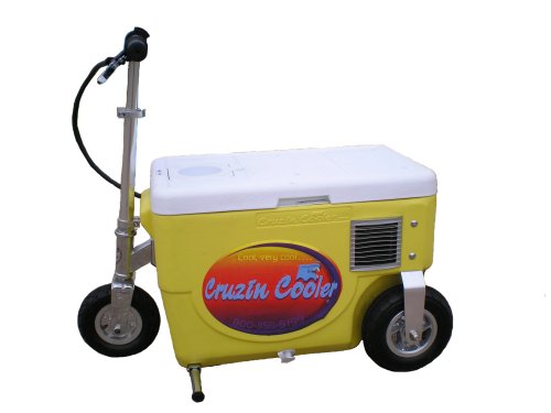 Cruzin Cooler 50-Series 300-Watt Electric Scooter (Yellow)