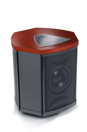 MartinLogan Depth i High-Performance Triple 8-Inch Servo-Control Subwoofer (Single, Dark Cherry)