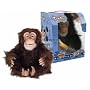 Hasbro Furreal Chimpanze