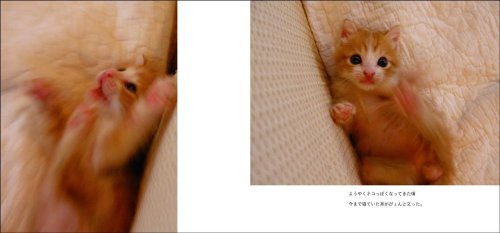 Cover image : ふちゃぎとエリザベス(DVD付き)