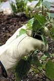 ATP Leather Gardening Gloves - Mens