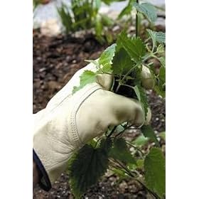 ATP Leather Gardening Gloves - Mens
