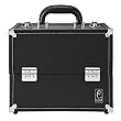 Caboodles Black Pro Cosmetic Case - 12.0''
