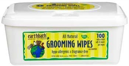 Earthbath All Natural Grooming Wipes 100 count pack of 2