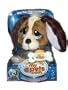 Rescue Pets my epets - Basset Hound