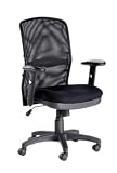 Dakota Mesh Back Managers Chair Home Office