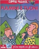 Fulmini e