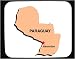 Decorated Mouse Pad with map, paraguay, vector