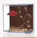 Marina Betta Kit Contemporary Theme, Large