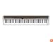 Casio PX200 Privia Digital Piano with Hammer Action